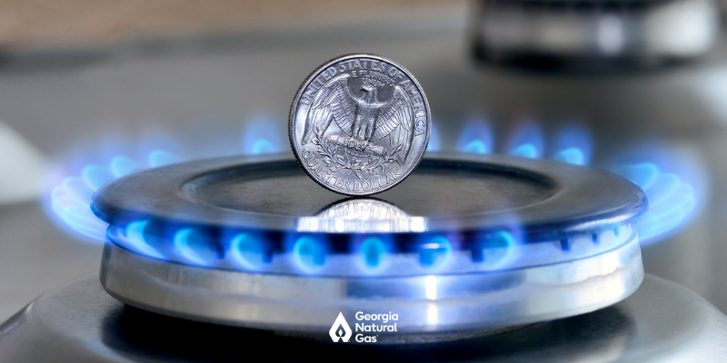 Georgia Natural Gas® | Atlanta Natural Gas Company